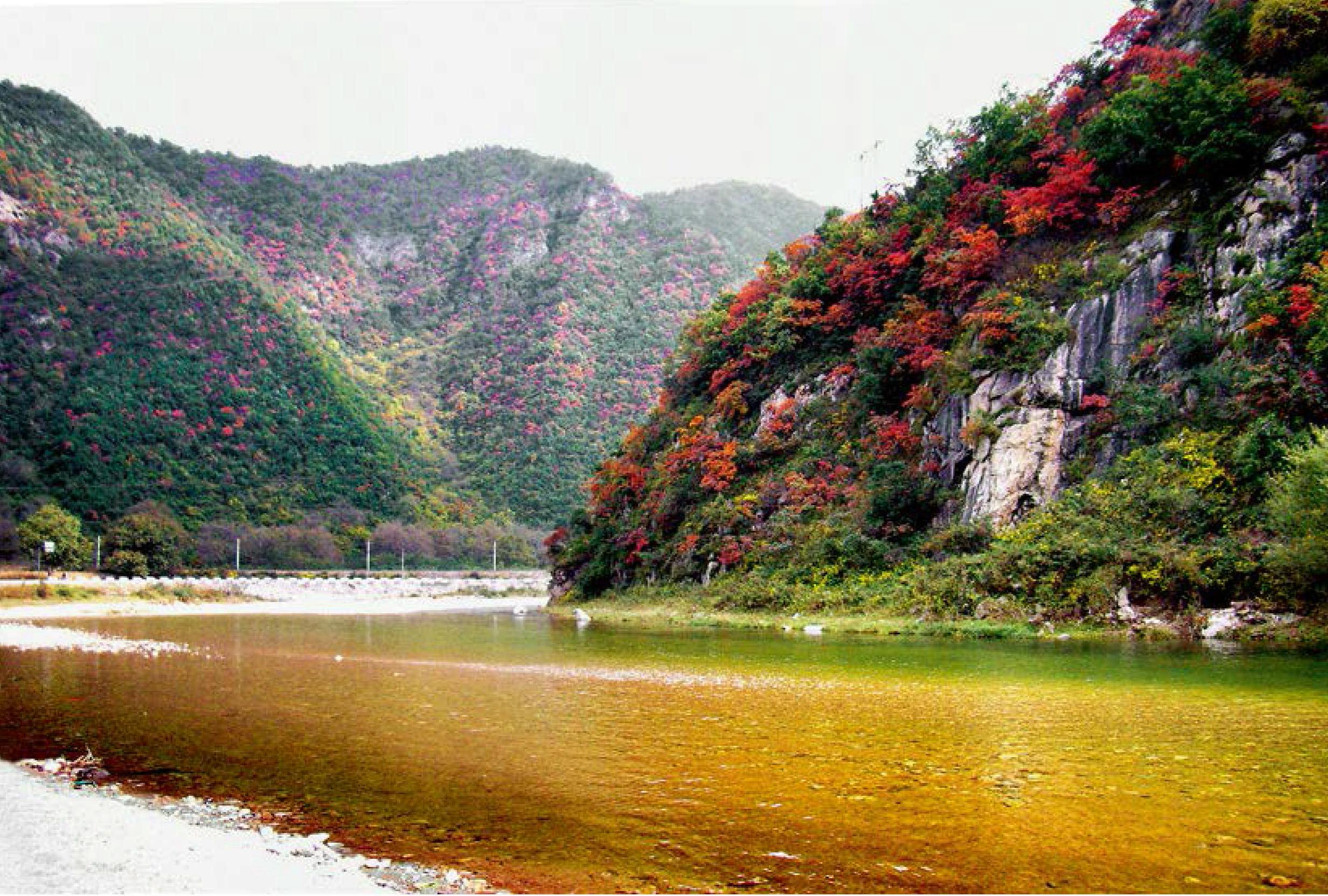 嘉陵江源頭的重要濕地——陜西鳳縣嘉陵江國家濕地公園